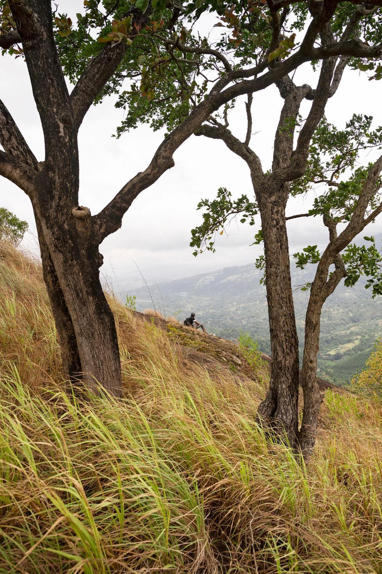 Kandy Victoria Eco Resort Zewnętrze zdjęcie