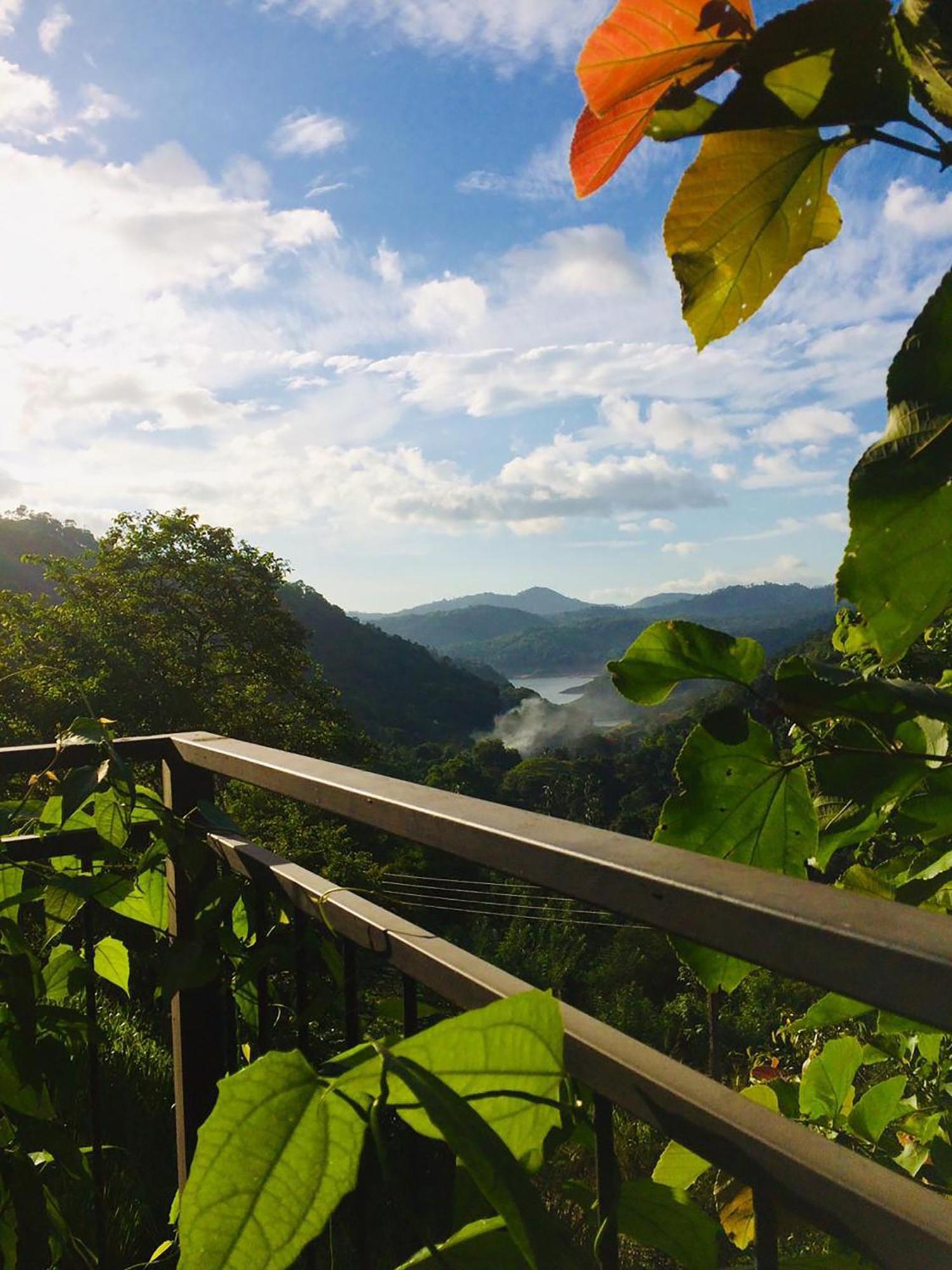 Kandy Victoria Eco Resort Zewnętrze zdjęcie